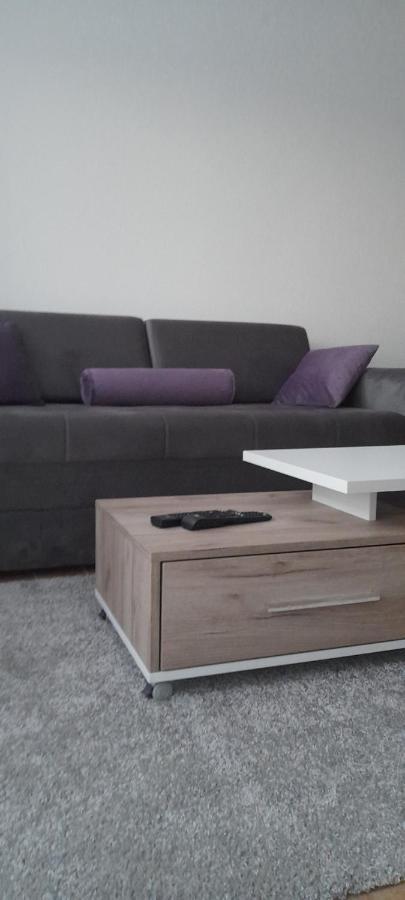 Apartmani Sunlight Vrnjačka Banja エクステリア 写真